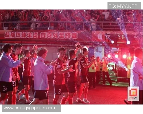 2014年足球盛宴回顾：激情赛场与难忘瞬间的完美交融